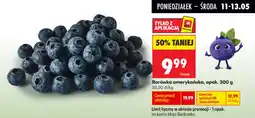 Biedronka Borówka amerykańska oferta