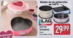 ALDI CROFTON Tortownica oferta