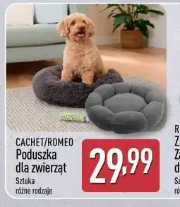 ALDI CACHET/ROMEO Poduszka dla zwierząt oferta