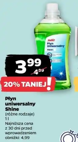 Netto Płyn uniwersalny Shine oferta