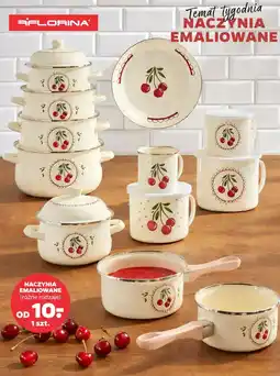 Netto NACZYNIA EMALIOWANE FLORINA (różne rodzaje) oferta