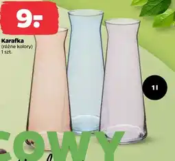Netto Karafka (różne kolory) oferta