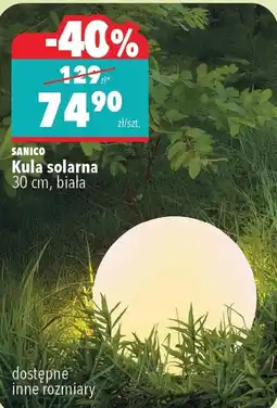 Biedronka Lampa solarna Sanico oferta