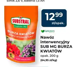Mrówka Nawóz Substral oferta