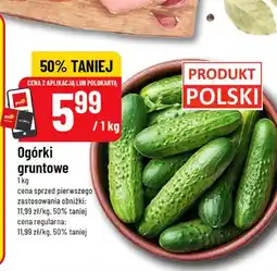 Polomarket Ogórki gruntowe oferta