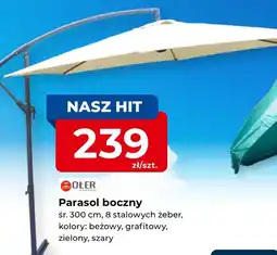 Mrówka Parasol Ołer oferta