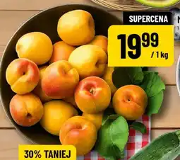 Polomarket Morele oferta