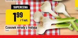 Polomarket Czosnek młody z łodygą oferta