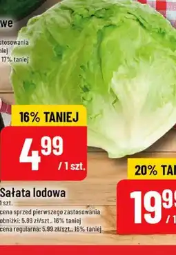 Polomarket Sałata lodowa oferta