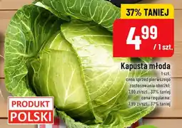Polomarket Kapusta młoda polska oferta