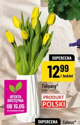 Polomarket Tulipany polskie bukiet 7-pak oferta
