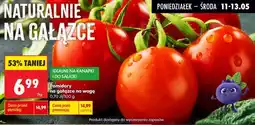 Biedronka Pomidory na gałązce oferta