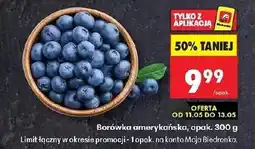 Biedronka Borówka amerykańska Biedronka oferta