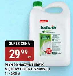 bi1 Płyn do naczyń ludwik miętowy lub cytrynowy oferta