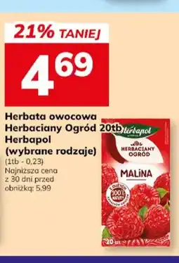 Hitpol Herbata owocowa Herbaciany Ogród Herbapol oferta