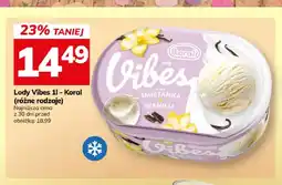 Hitpol Lody Vibes śmietanka wanilia Koral oferta
