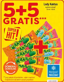 Polomarket Lody Kaktus oferta