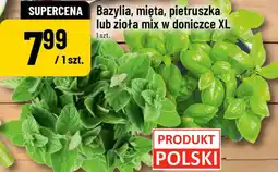 Polomarket Bazylia, mięta, pietruszka lub zioła mix w doniczce XL 1 szt oferta