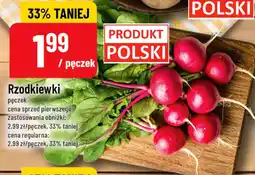 Polomarket Rzodkiewki oferta