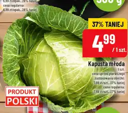 Polomarket Kapusta młoda oferta