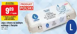 Polomarket Jaja z chowu na wolnym wybiegu L Marysia oferta