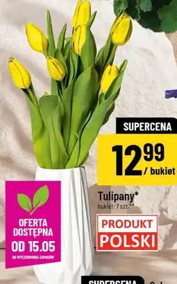Polomarket Tulipany oferta