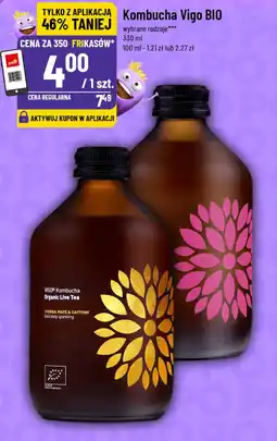 Polomarket Kombucha Vigo BIO wybrane rodzaje oferta