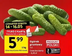 Intermarche Ogórek gruntowy luz polski oferta