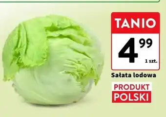 Intermarche Sałata lodowa polska oferta