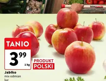 Intermarche Jabłko mix odmian polskie oferta