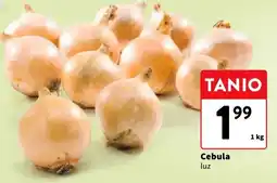 Intermarche Cebula luz oferta