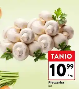 Intermarche Pieczarka luz oferta