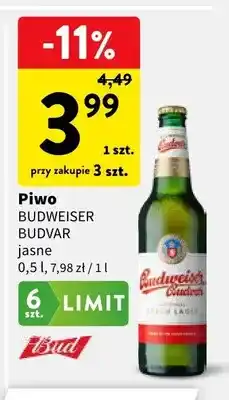 Intermarche Piwo Budweiser Budvar jasne oferta