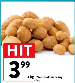 Intermarche Ziemniak wczesny luz oferta