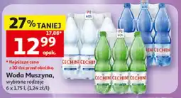 Auchan Woda Muszyna 6-pak oferta