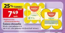 Auchan Świece citronella Bolsius 18szt oferta