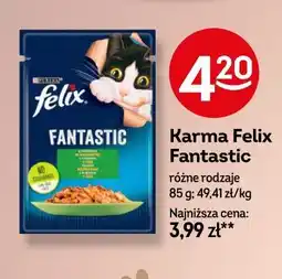 Żabka Karma Felix Fantastic oferta