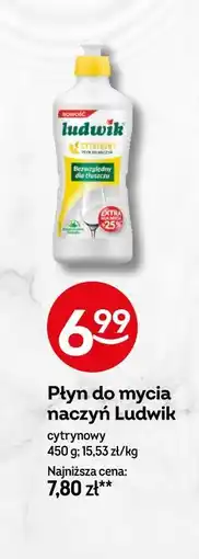 Żabka Płyn do mycia naczyń Ludwik oferta
