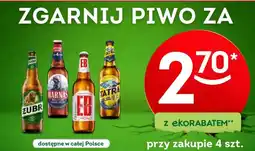 Żabka Piwo oferta