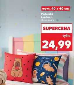 Kaufland Poduszka kapibara oferta