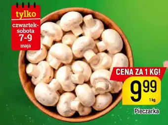 Delikatesy Piotruś Pan Pieczarka oferta