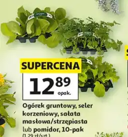 Auchan Ogórek gruntowy, seler korzeniowy, sałata masłowa/strzępiasta lub pomidor, 10-pak oferta