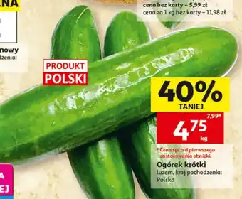Auchan Ogórek krótki oferta