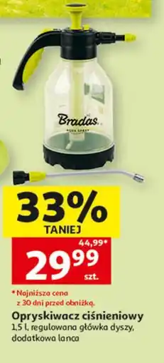 Auchan Opryskiwacz ciśnieniowy Bradas oferta