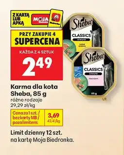 Biedronka Karma dla kota Sheba Classics w terynie z łososiem oferta