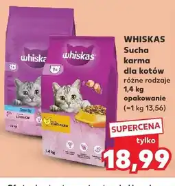 Kaufland Sucha karma dla kotów Whiskas Sterile oferta