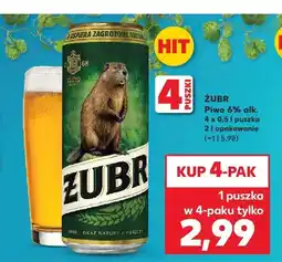 Kaufland Piwo Żubr 6% alk. 4-pak oferta