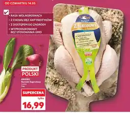 Kaufland Kurczak Zagrodowy tuszka DROSED oferta