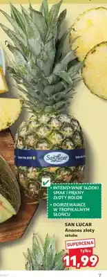 Kaufland Ananas złoty San Lucar oferta