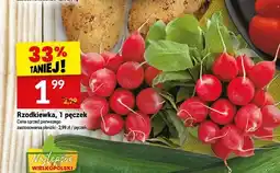 Twój Market Rzodkiewka oferta